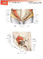 Sobotta  Atlas of Human Anatomy  Trunk, Viscera,Lower Limb Volume2 2006, page 67